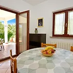 Denis Apartamento